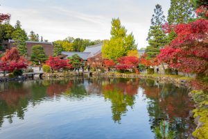 虎渓山永保寺、紅葉、11月秋、岐阜県多治見市の観光・撮影スポットの画像と写真