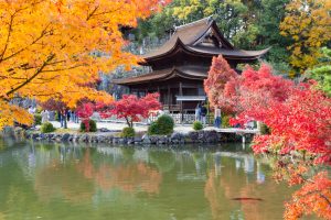 虎渓山永保寺、紅葉、11月秋、岐阜県多治見市の観光・撮影スポットの画像と写真