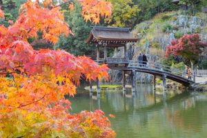 虎渓山永保寺、紅葉、11月秋、岐阜県多治見市の観光・撮影スポットの画像と写真