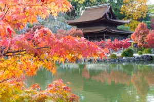 虎渓山永保寺、紅葉、11月秋、岐阜県多治見市の観光・撮影スポットの画像と写真
