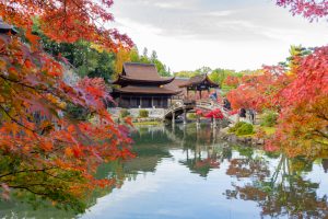 虎渓山永保寺、紅葉、11月秋、岐阜県多治見市の観光・撮影スポットの画像と写真