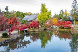 虎渓山永保寺、紅葉、11月秋、岐阜県多治見市の観光・撮影スポットの画像と写真