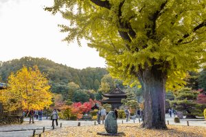虎渓山永保寺、紅葉、11月秋、岐阜県多治見市の観光・撮影スポットの画像と写真