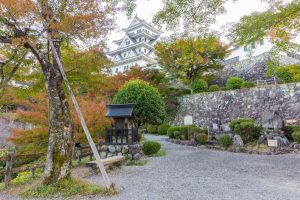 郡上八幡城、もみじ、紅葉、11月秋、岐阜県郡上市の観光・撮影スポットの画像と写真