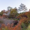 郡上八幡城、もみじ、紅葉、11月秋、岐阜県郡上市の観光・撮影スポットの画像と写真
