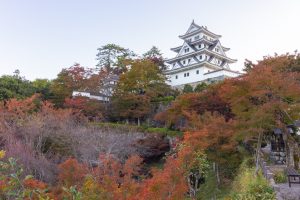 郡上八幡城、もみじ、紅葉、11月秋、岐阜県郡上市の観光・撮影スポットの画像と写真
