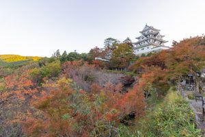 郡上八幡城、もみじ、紅葉、11月秋、岐阜県郡上市の観光・撮影スポットの画像と写真