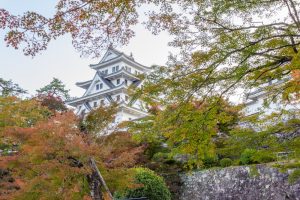 郡上八幡城、もみじ、紅葉、11月秋、岐阜県郡上市の観光・撮影スポットの画像と写真