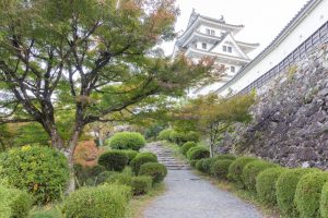 郡上八幡城、もみじ、紅葉、11月秋、岐阜県郡上市の観光・撮影スポットの画像と写真
