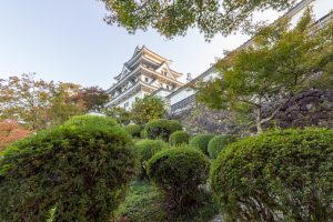 郡上八幡城、もみじ、紅葉、11月秋、岐阜県郡上市の観光・撮影スポットの画像と写真