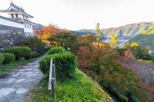 郡上八幡城、もみじ、紅葉、11月秋、岐阜県郡上市の観光・撮影スポットの画像と写真