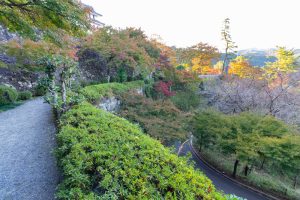 郡上八幡城、もみじ、紅葉、11月秋、岐阜県郡上市の観光・撮影スポットの画像と写真