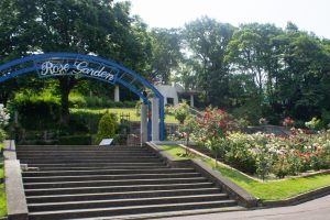 東山動植物園、バラ園、5月の夏の花、名古屋市千種区の観光・撮影スポットの画像と写真