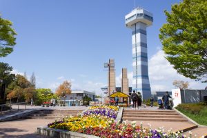木曽三川公園センター、チューリップ、4月の春の花、岐阜県海津市の観光・撮影スポットの画像と写真
