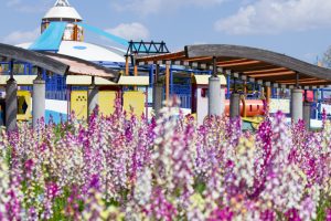 木曽三川公園センター、4月の春の花、岐阜県海津市の観光・撮影スポットの画像と写真