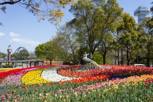 木曽三川公園センター、チューリップ、4月の春の花、岐阜県海津市の観光・撮影スポットの画像と写真