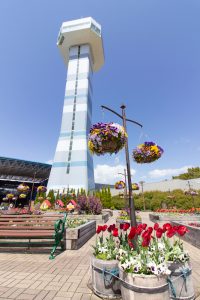木曽三川公園センター、チューリップ、4月の春の花、岐阜県海津市の観光・撮影スポットの画像と写真