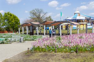 木曽三川公園センター、4月の春の花、岐阜県海津市の観光・撮影スポットの画像と写真