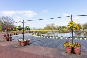 江南フラワーパーク、チューリップ、4月の春の花、愛知県江南市の観光・撮影スポットの画像と写真