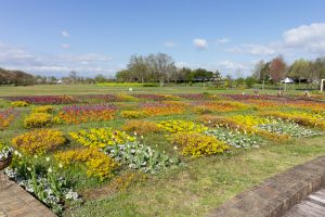 江南フラワーパーク、4月の春の花、愛知県江南市の観光・撮影スポットの画像と写真