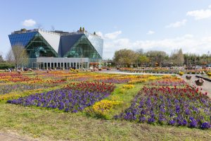 江南フラワーパーク、4月の春の花、愛知県江南市の観光・撮影スポットの画像と写真