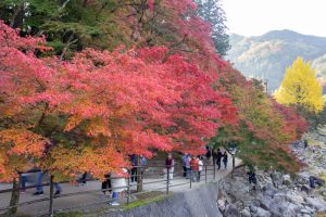 香嵐渓、もみじ祭り、紅葉、秋11月、愛知県豊田市足助町の観光・撮影スポットの画像と写真