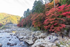 香嵐渓、もみじ祭り、紅葉、秋11月、愛知県豊田市足助町の観光・撮影スポットの画像と写真