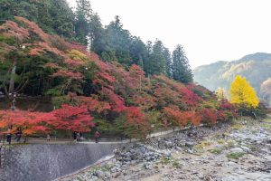 香嵐渓、もみじ祭り、紅葉、秋11月、愛知県豊田市足助町の観光・撮影スポットの画像と写真