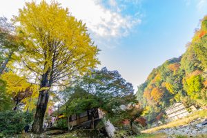 香嵐渓、もみじ祭り、紅葉、秋11月、愛知県豊田市足助町の観光・撮影スポットの画像と写真