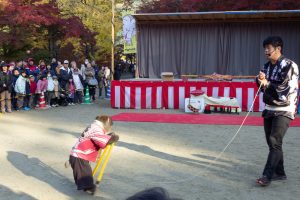 香嵐渓、もみじ祭り、紅葉、秋11月、愛知県豊田市足助町の観光・撮影スポットの画像と写真