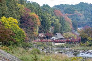香嵐渓、もみじ祭り、紅葉、秋11月、愛知県豊田市足助町の観光・撮影スポットの画像と写真