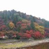 香嵐渓、もみじ祭り、紅葉、秋11月、愛知県豊田市足助町の観光・撮影スポットの画像と写真