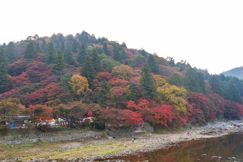 香嵐渓、もみじ祭り、紅葉、秋11月、愛知県豊田市足助町の観光・撮影スポットの画像と写真