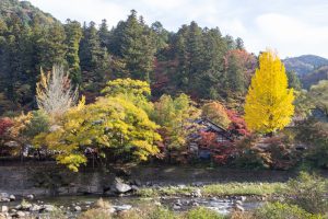香嵐渓、もみじ祭り、紅葉、秋11月、愛知県豊田市足助町の観光・撮影スポットの画像と写真