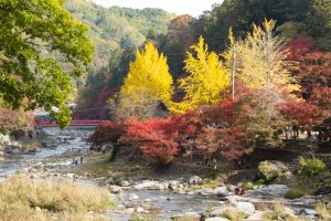 香嵐渓、もみじ祭り、紅葉、秋11月、愛知県豊田市足助町の観光・撮影スポットの画像と写真