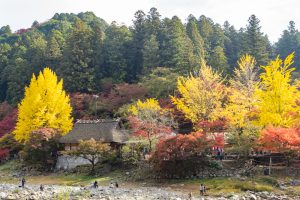 香嵐渓、もみじ祭り、紅葉、秋11月、愛知県豊田市足助町の観光・撮影スポットの画像と写真