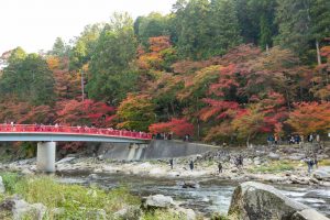 香嵐渓、もみじ祭り、紅葉、秋11月、愛知県豊田市足助町の観光・撮影スポットの画像と写真