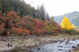 香嵐渓、もみじ祭り、紅葉、秋11月、愛知県豊田市足助町の観光・撮影スポットの画像と写真