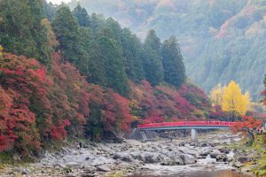 香嵐渓、もみじ祭り、紅葉、秋11月、愛知県豊田市足助町の観光・撮影スポットの画像と写真