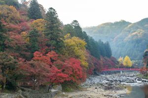 香嵐渓、もみじ祭り、紅葉、秋11月、愛知県豊田市足助町の観光・撮影スポットの画像と写真