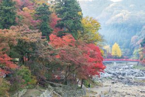 香嵐渓、もみじ祭り、紅葉、秋11月、愛知県豊田市足助町の観光・撮影スポットの画像と写真