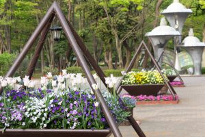 名城公園、4月の春の花、名古屋市北区の観光・撮影スポットの画像と写真