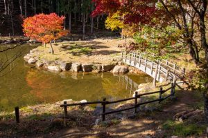 西ウレ峠、せせらぎ街道、西ウレ峠遊歩道、紅葉、11月、岐阜県高山市清見町の観光・撮影スポットの画像と写真