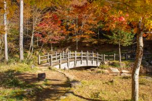 西ウレ峠、せせらぎ街道、西ウレ峠遊歩道、紅葉、11月、岐阜県高山市清見町の観光・撮影スポットの画像と写真