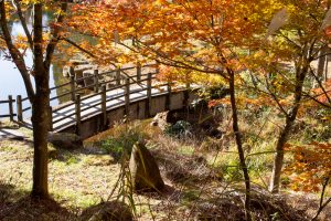 西ウレ峠、せせらぎ街道、西ウレ峠遊歩道、紅葉、11月、岐阜県高山市清見町の観光・撮影スポットの画像と写真