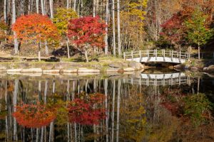 西ウレ峠、せせらぎ街道、西ウレ峠遊歩道、紅葉、11月、岐阜県高山市清見町の観光・撮影スポットの画像と写真