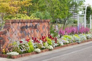 西山公園、バラ園、5月の夏の花、愛知県豊田市の観光・撮影スポットの画像と写真