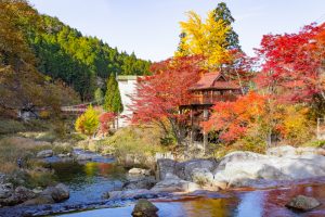 大井平公園、紅葉、秋、11月、愛知県豊田市の観光・撮影スポットの画像と写真