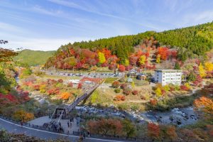 大井平公園、紅葉、秋、11月、愛知県豊田市の観光・撮影スポットの画像と写真