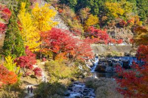 大井平公園、紅葉、秋、11月、愛知県豊田市の観光・撮影スポットの画像と写真